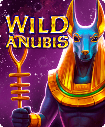 Wild Anubis