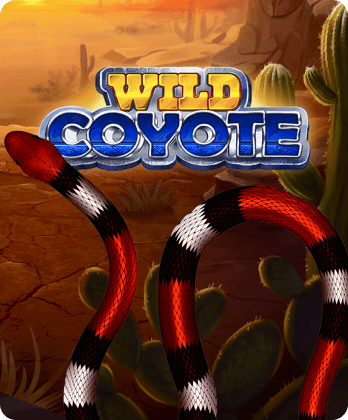 Wild Coyote
