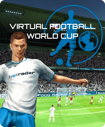 Virtual Football World Cup