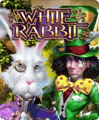 White Rabbit (No Drop)
