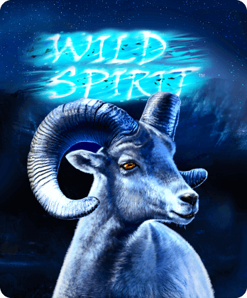 Wild Spirit