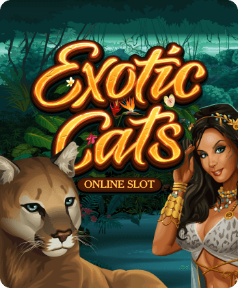 Exotic Cats