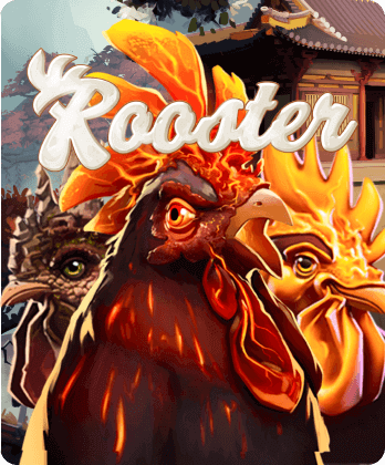 Rooster