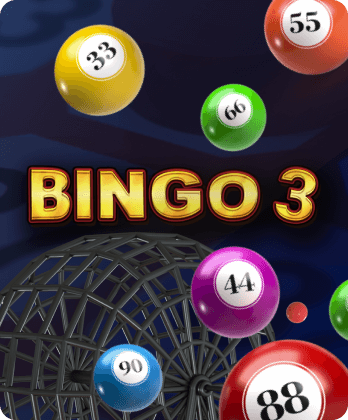 Bingo 3